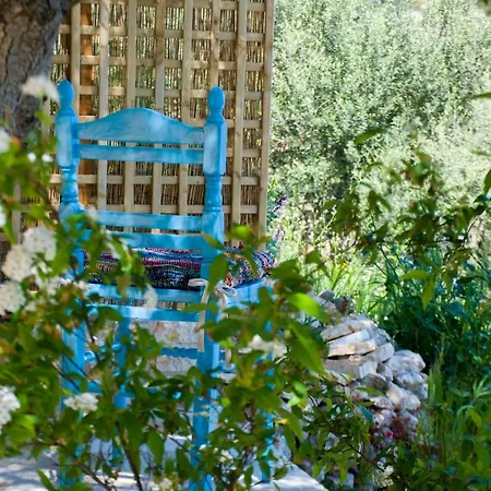 The Olive - Ithaca Vathy (Ithaca)