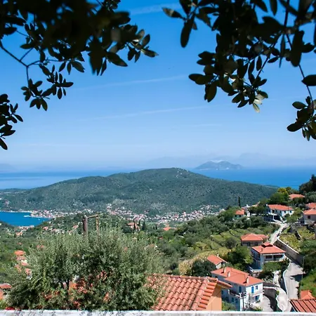 The Olive - Ithaca * Vathy (Ithaca)
